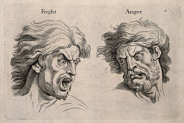 A frightened and an angry face. Engraving, c. 1760, after C. Le Brun. This file comes from Wellcome Images, a website operated by Wellcome Trust, a global charitable foundation based in the United Kingdom. Copyrighted work available under Creative Commons Attribution only licence CC BY 4.0 http://creativecommons.org/licenses/by/4.0/ A frightened and an angry face. Engraving, c. 1760, after C. Le Brun.