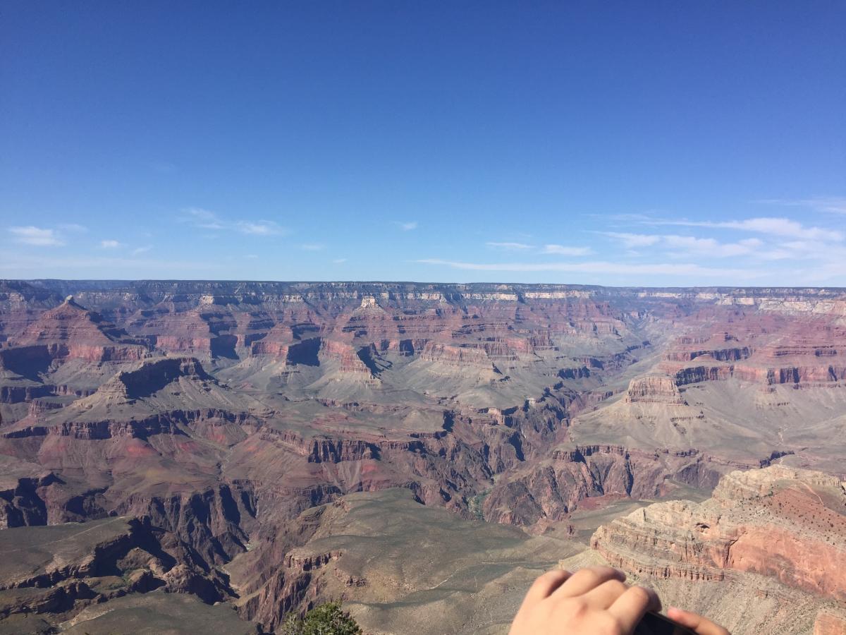 Was the blue in the water reflecting the sky?
