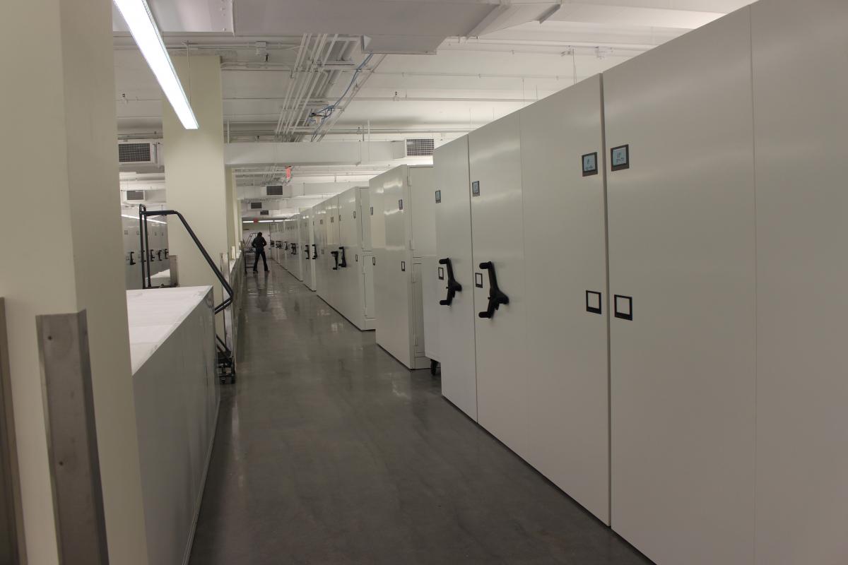 The MCZ invertebrate collection. That's Jessica way down the corridor.