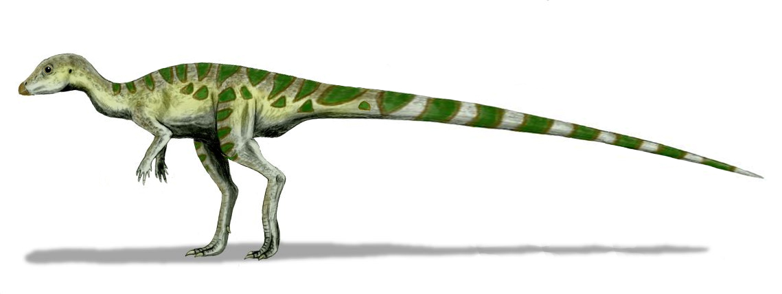 Leaellynasaura (Nobu Tamura Wikimedia Commons)