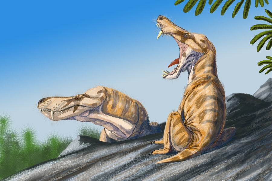 rtist’s illustration of a therapsid (Pristerognathus). The first image that got me interested in this whole mess. (via Wikipedia Commons)