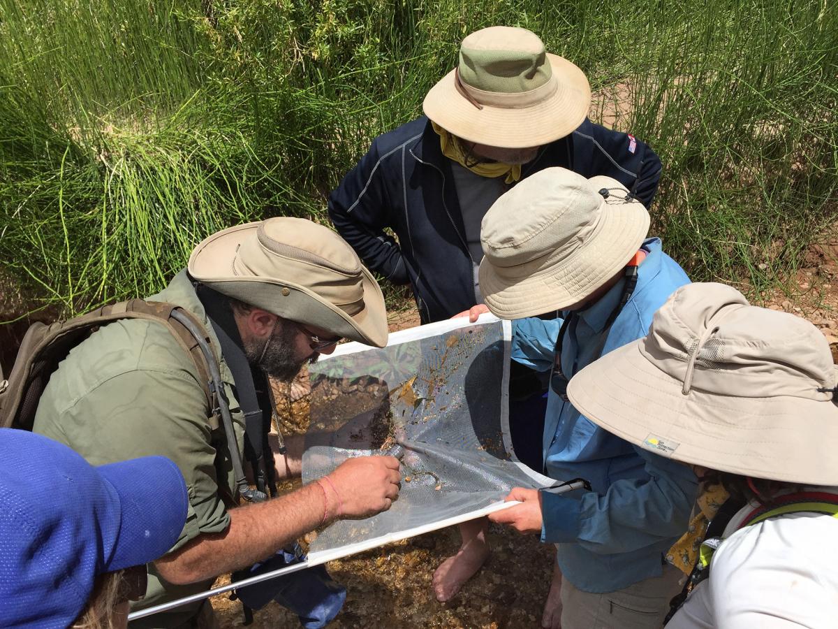 Rafters and I examine aquatic larvae