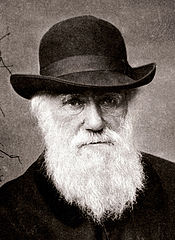 Charles Darwin (1880)