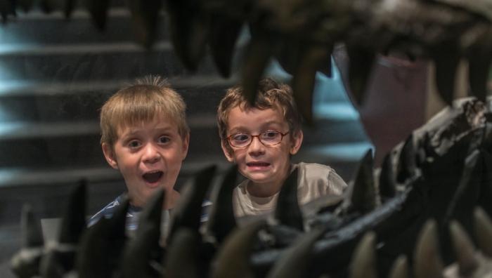 Kids reacting to a Tyrannosaurus rex