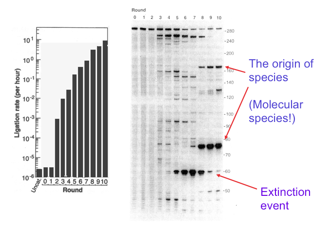 Figure adapted from Bartel and Szostak (1993)
