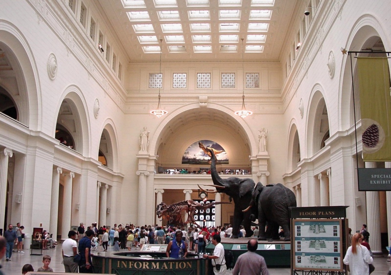 field museum