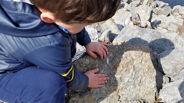 learning about evolution in a rural environment