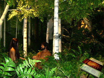 The Adam and Eve display in Answers in Genesis's Creation Museum.
