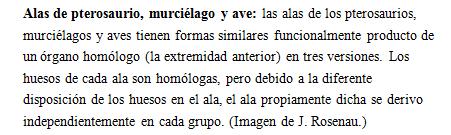 Caption por Alas: Caption por Alas