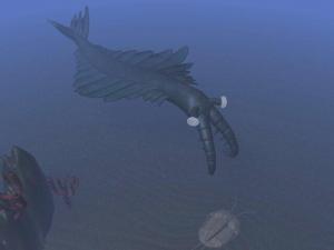Anomalacaris: a fearsome predator of the Cambrian. Image from WikiCommons