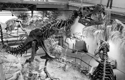 The Glendive Dinosaur & Fossil Museum