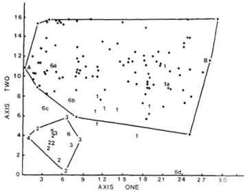 Dog limbs vs. wild canids: Fig. 7 from Wayne (1986), 
