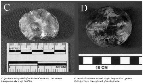 Two images. C shows Specimen composed of individual Ottosdal concretions intergrown like soap bubbles. D shows Ottodsal concretion with single longitudinal groove. This specimen is composed of wollastonite.
