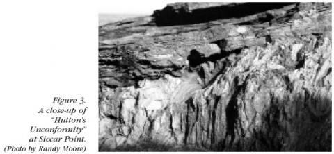 Figure 3: A close-up of Hutton's Unconformity at Siccar Point. (Photo by Randy Moore)