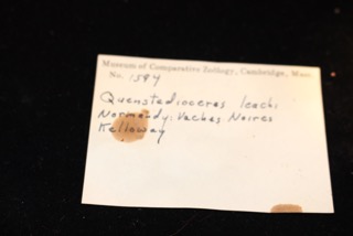 The label for a fossil!