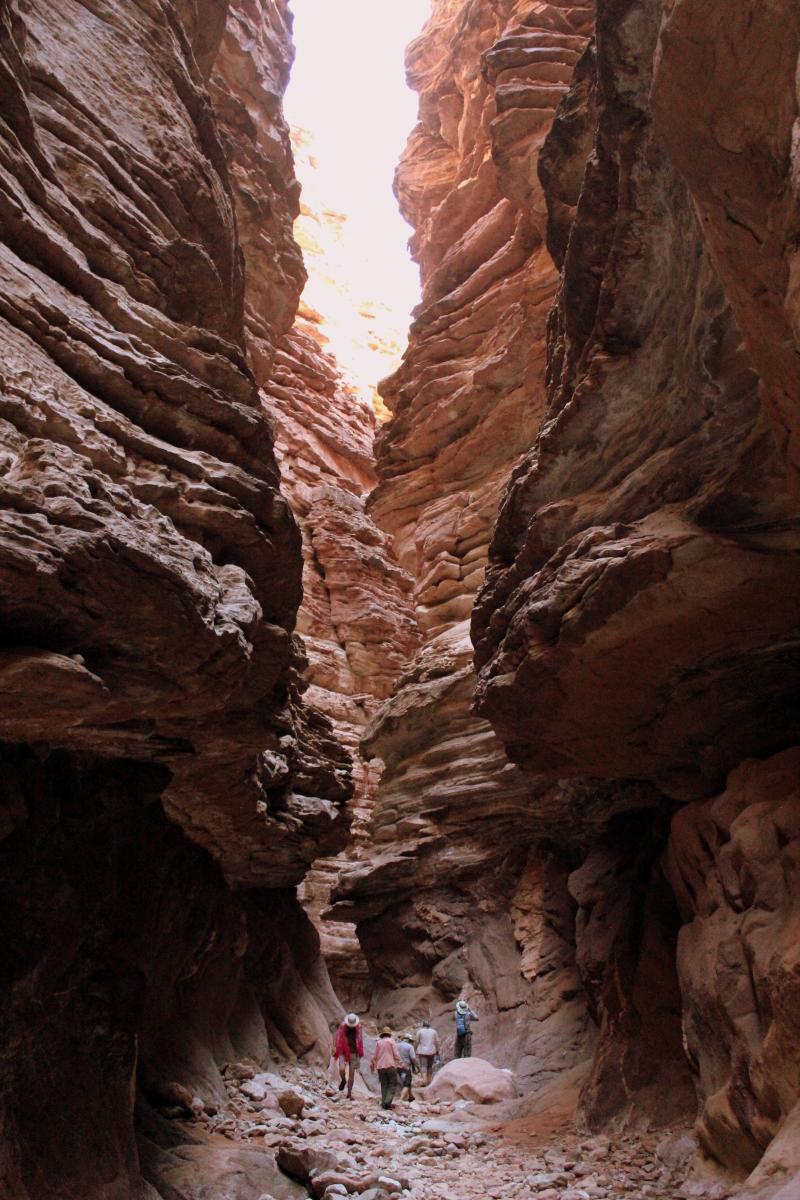Blacktail Canyon