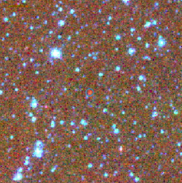 Asteroid 24950 Eugeniescott, courtesy of Amy Mainzer