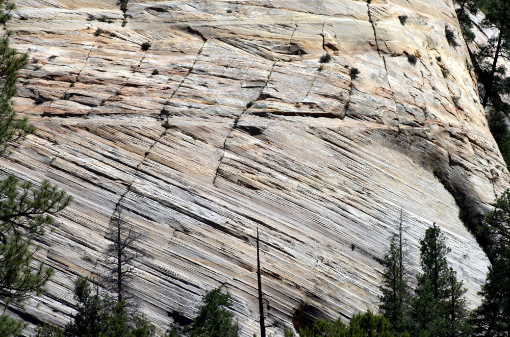 cross-beds at Zion National Park