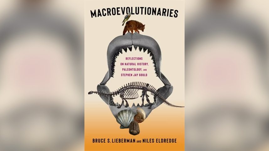 [Review] Macroevolutionaries: Reflections on Natural History, Paleontology, and Stephen Jay Gould | National Center for Science Education