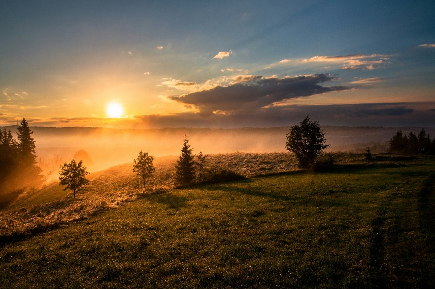 The latest Pew Research Center survey on climate change | National Center for Science Education