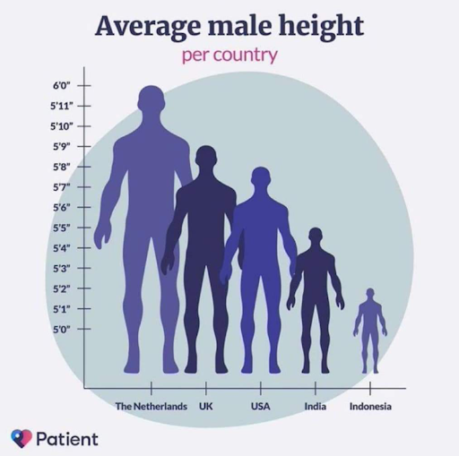 Male height graph.