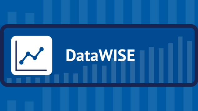 DataWISE logo.