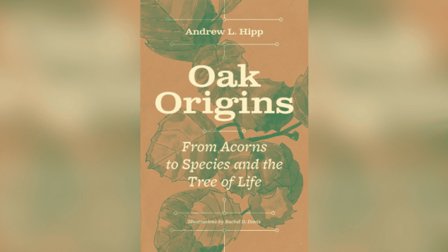 Oak Origins book cover.