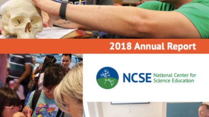 NCSE 2018 Annual Report cover