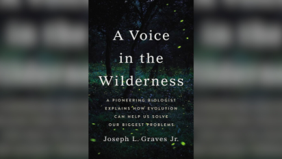 Voice in the Wilderness book cover.