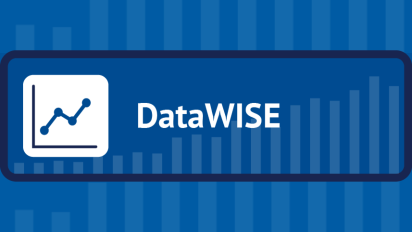 DataWISE icon.