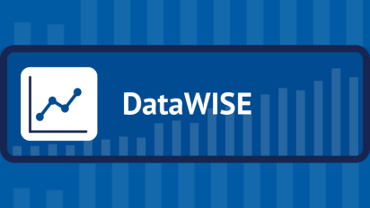 DataWISE logo.