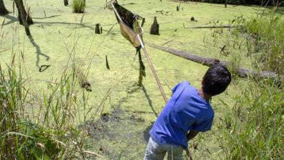 climate change education at a pond