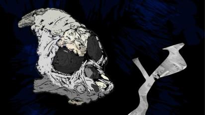 Homo naledi skull and Rising Star cave.