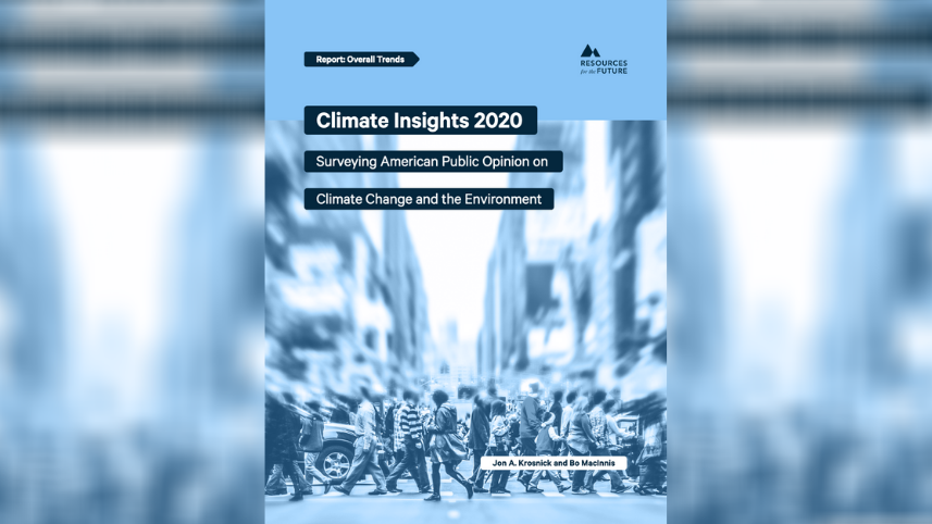 Climate Insights 2020 report