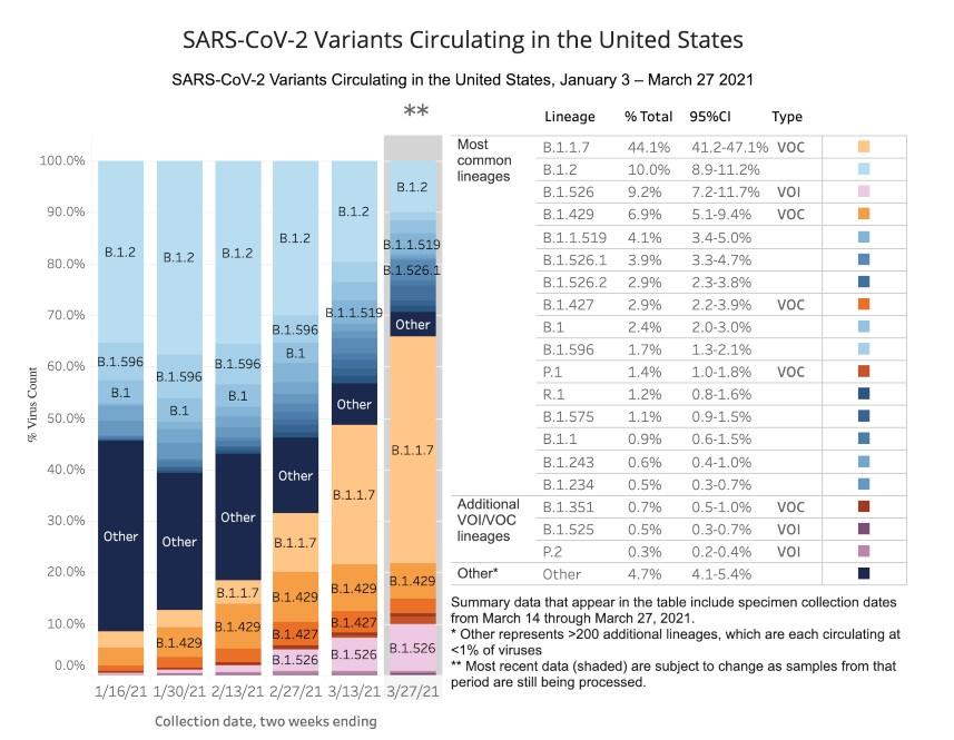 chart showing SARS-CoV-2 variants ciruclating in the United States