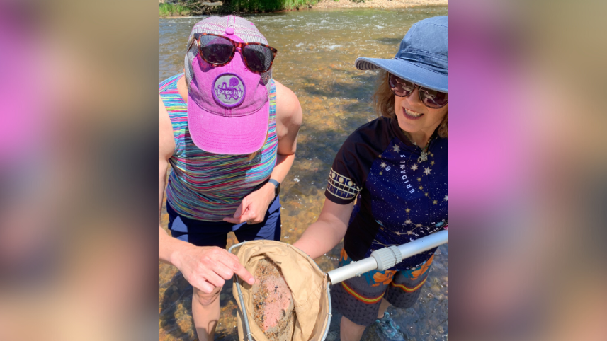 Looking for macroinvertebrates in the Poudre River