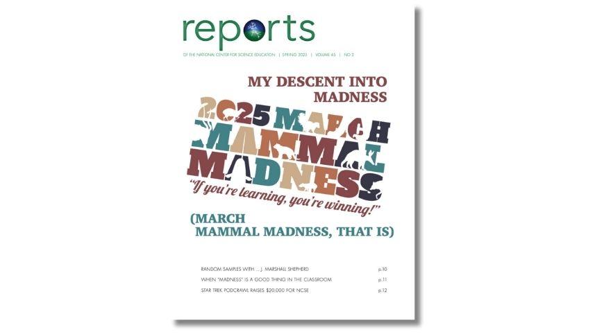 RNCSE Volume 45, Issue 2, cover.