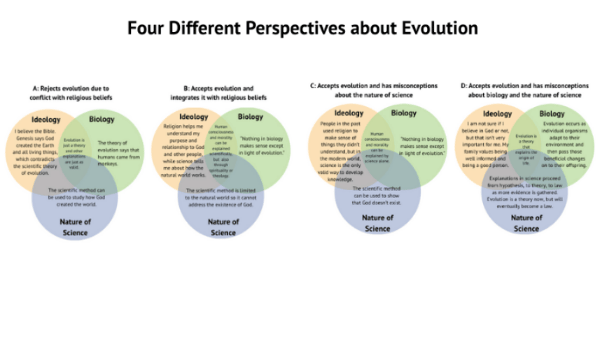Different perspectives on evolution graphic.