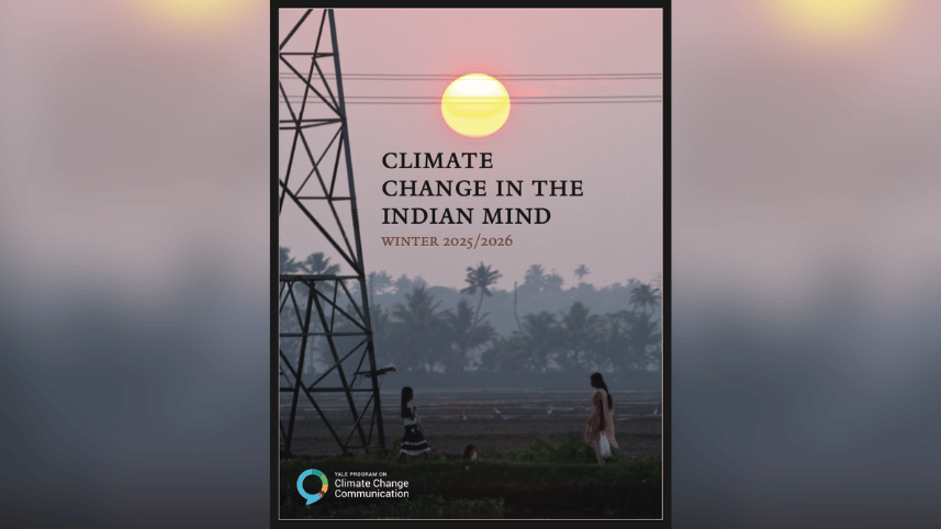 YPCCC report cover.