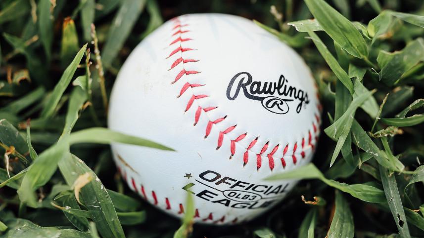 baseball in the grass