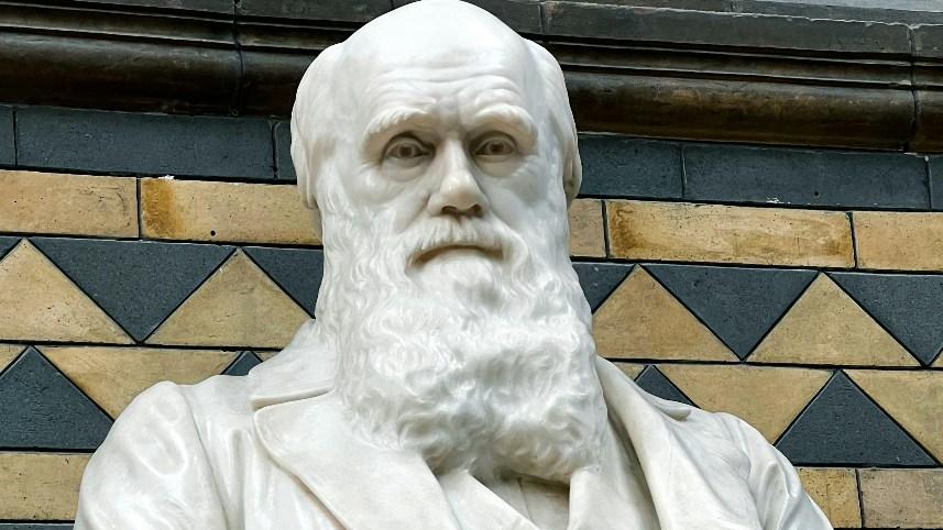 Statue of Charles Darwin.