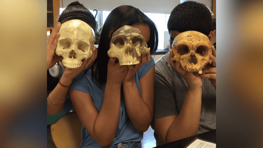 High school students with hominid skulls.