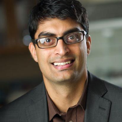 NCSE Sound Science Fellow Ramesh Laungani.